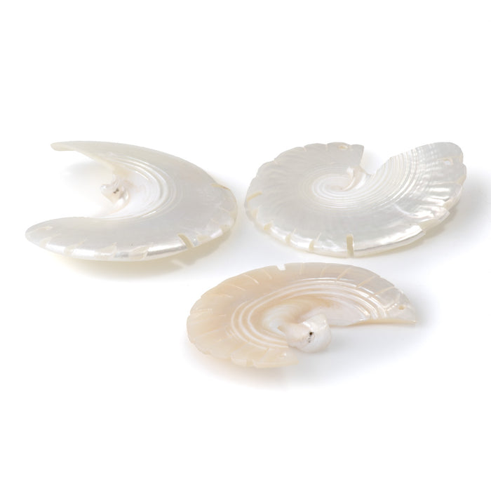Shell 45-50mm White Carved Bird Pendant
