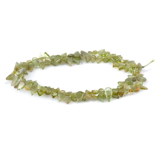 This is a Dakota Stones 4x6-5x9mm Peridot Gemstone strand with tear drop beads in 15-16 inch strand.