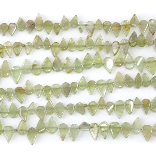 This is a Dakota Stones 4x6-5x9mm Peridot Gemstone strand with tear drop beads in 15-16 inch strand.