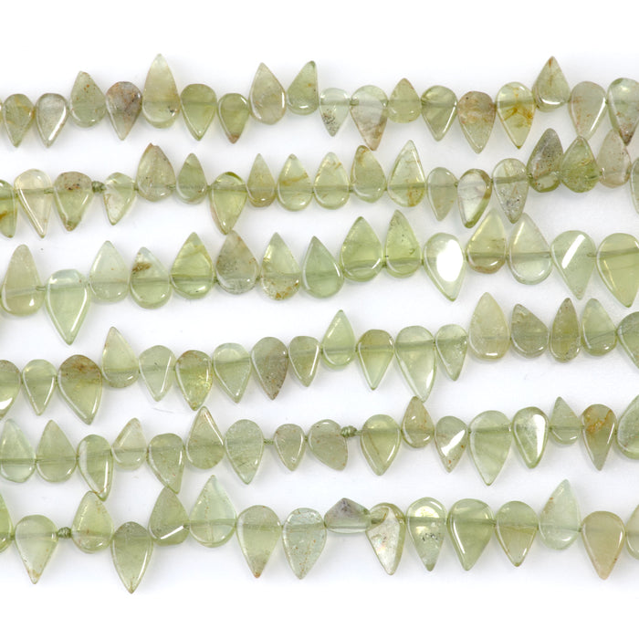 This is a Dakota Stones 4x6-5x9mm Peridot Gemstone strand with tear drop beads in 15-16 inch strand.