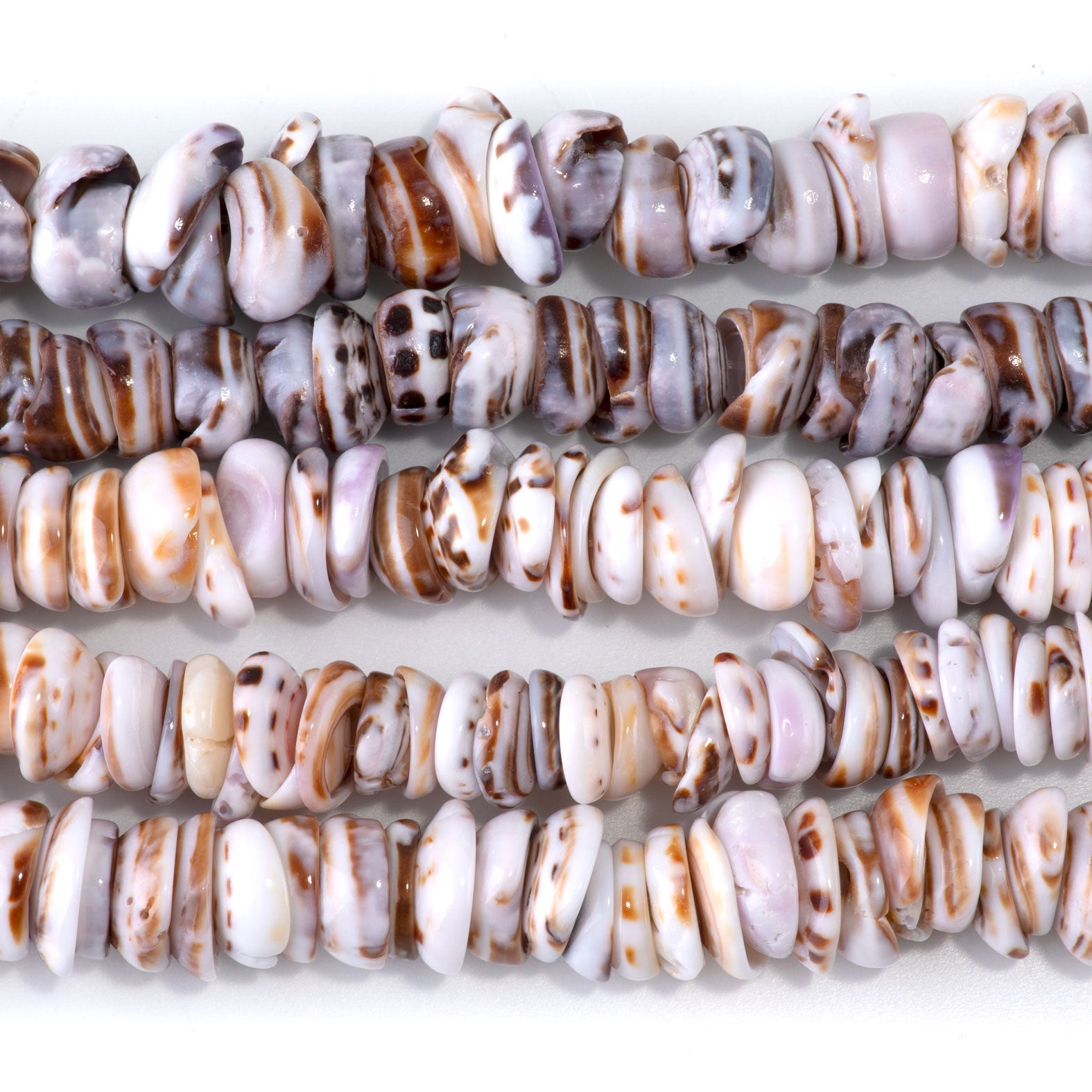 Purple Puka Shell 10-12mm Chip - 15-16 Inch — Dakota Stones