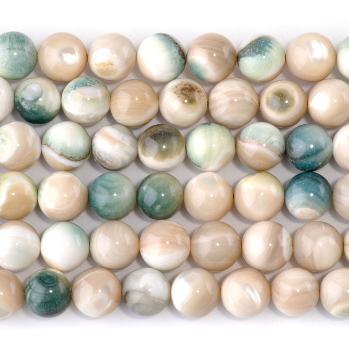 Green Turban Snail 10mm Round - 15-16 Inch