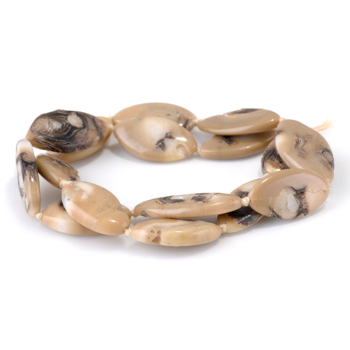 Turban Snail 13x25-15x26mm Marquise Beads - 15-16 Inch