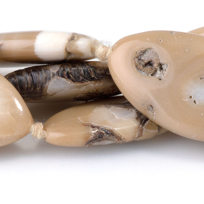 Turban Snail 13x25-15x26mm Marquise Beads - 15-16 Inch