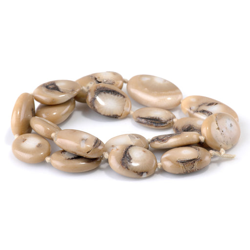 This is a Dakota Stones 14x16-22mm Turban Snail Gemstone strand with oval beads in 15-16 inch strand.