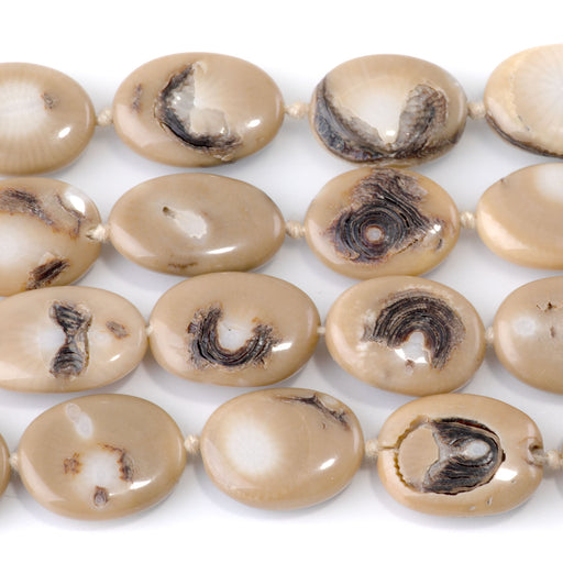 This is a Dakota Stones 14x16-22mm Turban Snail Gemstone strand with oval beads in 15-16 inch strand.
