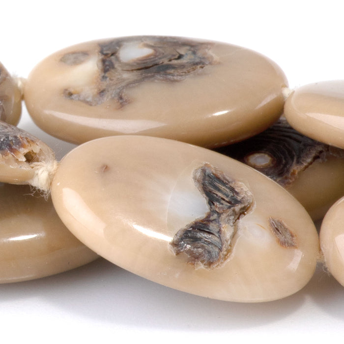 Turban Snail 14x16-22mm Oval Beads - 15-16 Inch