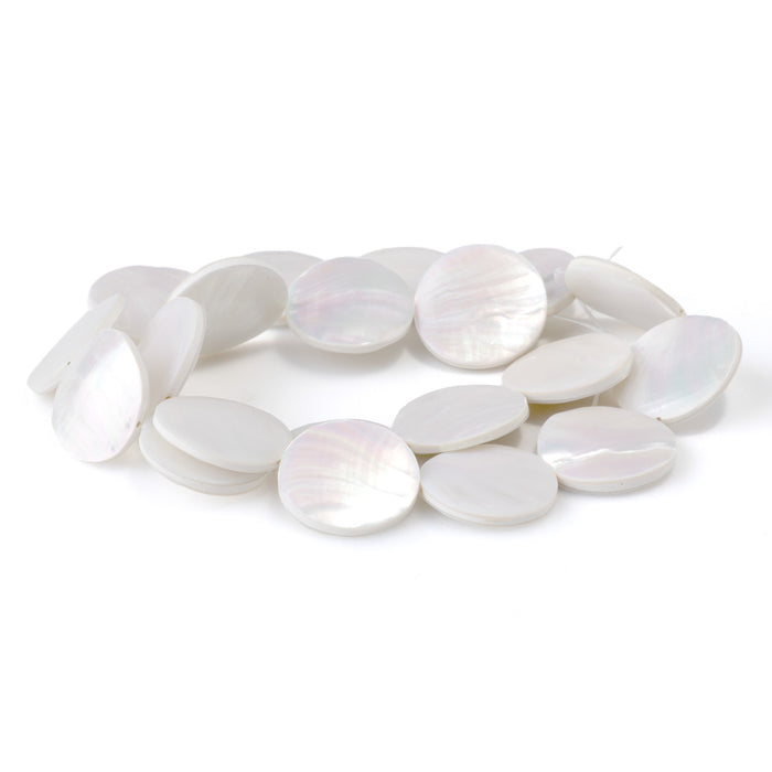 Nautilus Shell 20-21mm Coin Beads - 16-Inch