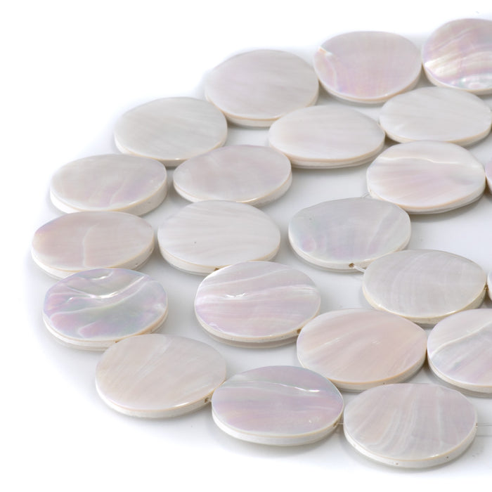 Nautilus Shell 20-21mm Coin Beads - 16-Inch