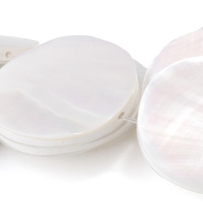 Nautilus Shell 20-21mm Coin Beads - 16-Inch