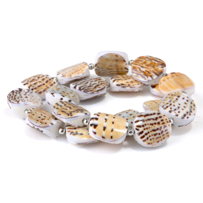 Conus Capitaneus Shell 20mm Puff Coin - 15-16 Inch