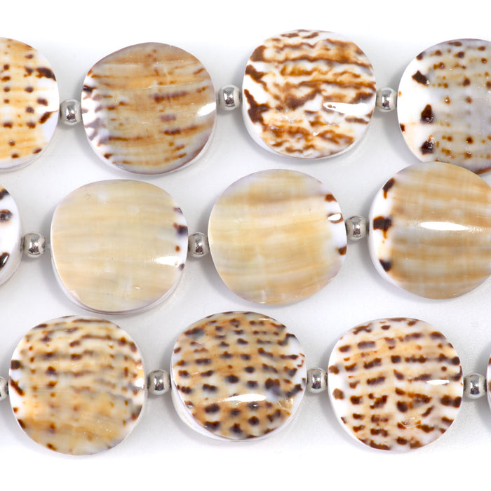 Conus Capitaneus Shell 20mm Puff Coin - 15-16 Inch