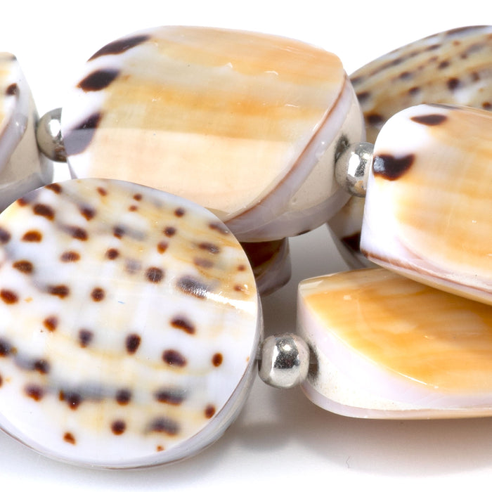 Conus Capitaneus Shell 20mm Puff Coin - 15-16 Inch