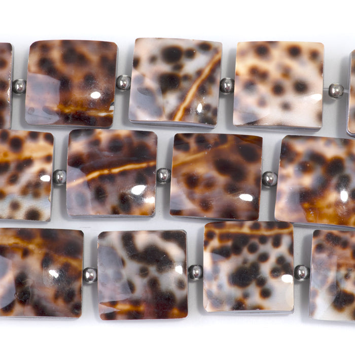 Tiger Cowrie 20mm Puff Square - 15-16 Inch
