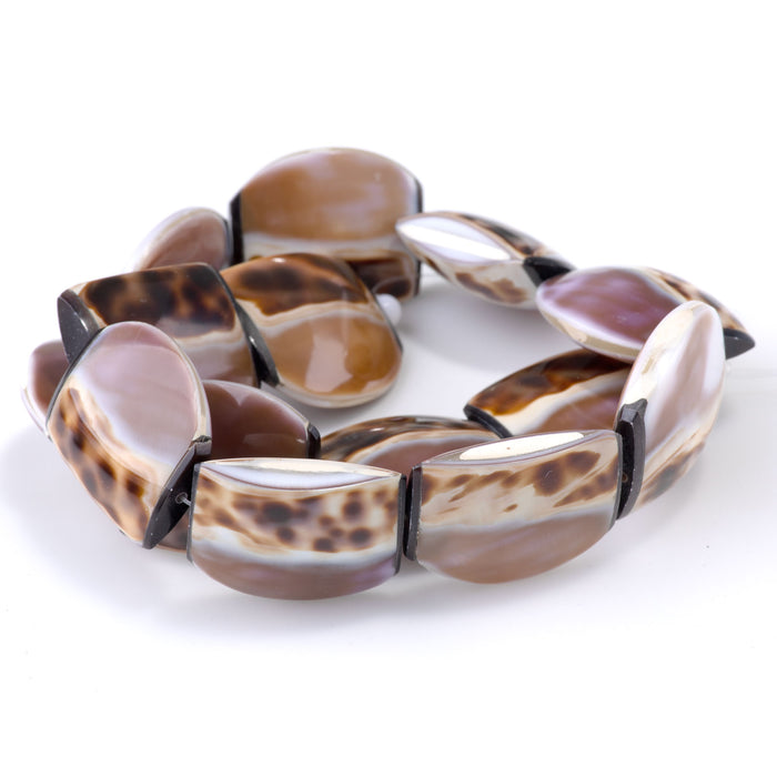 Tiger Cowrie 25x30mm Puff Tab - 15-16 Inch