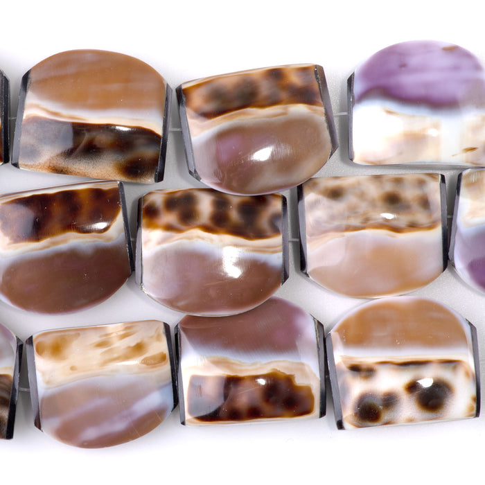 Tiger Cowrie 25x30mm Puff Tab - 15-16 Inch