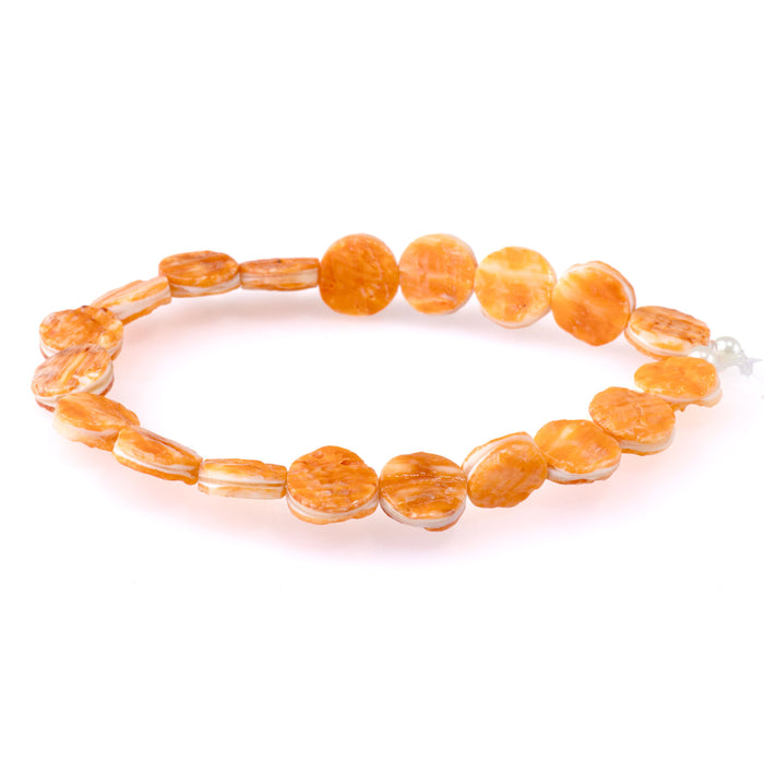 Spiny Oyster 11mm Coin -8 Inch