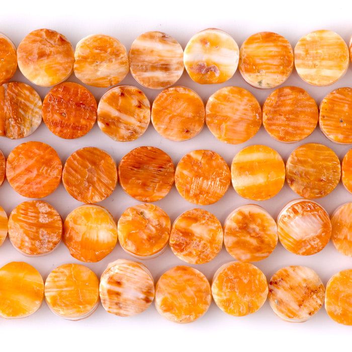 Spiny Oyster 11mm Coin -8 Inch