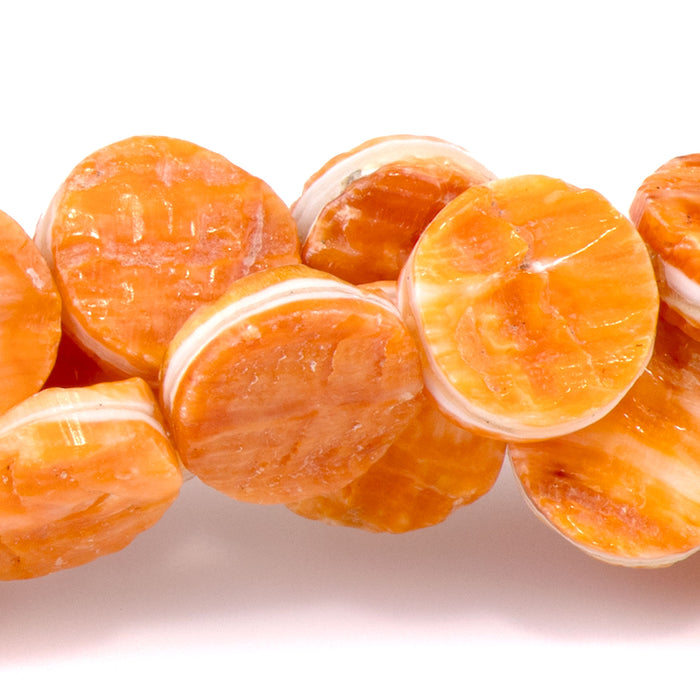 Spiny Oyster 11mm Coin -8 Inch