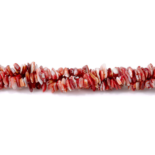 This is a Dakota Stones 5-10mm Spiney Oyster Chips Red Gemstone strand with free-form beads in 15-16 inch strand.