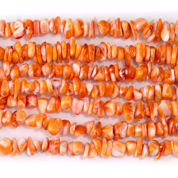This is a Dakota Stones 5-8mm Spiny Oyster Chips Orange Gemstone strand with free-form beads in 15-16 inch strand.