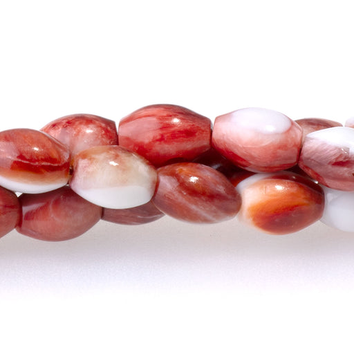 This is a Dakota Stones 5x7mm Spiney Oyster Red Gemstone strand with barrel beads in 15-16 inch strand.