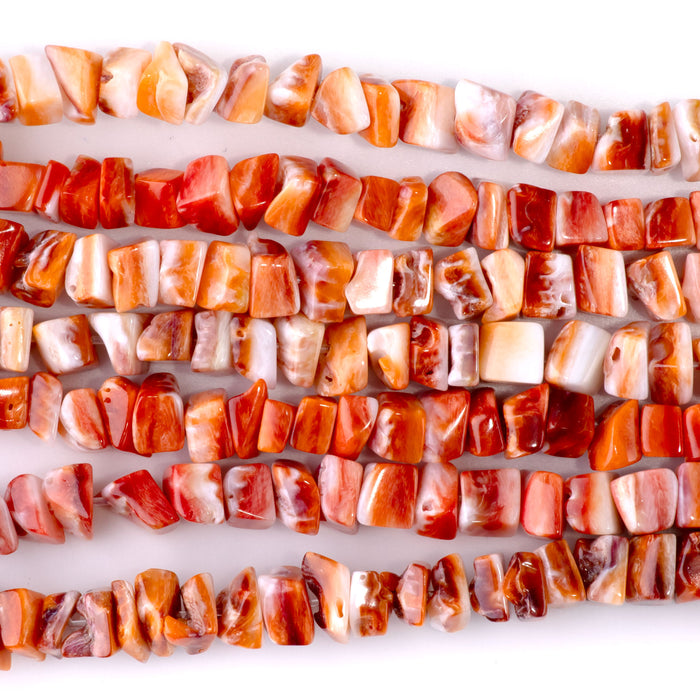 Spiny Oyster 7mm Free Form Square - 15-16 Inch