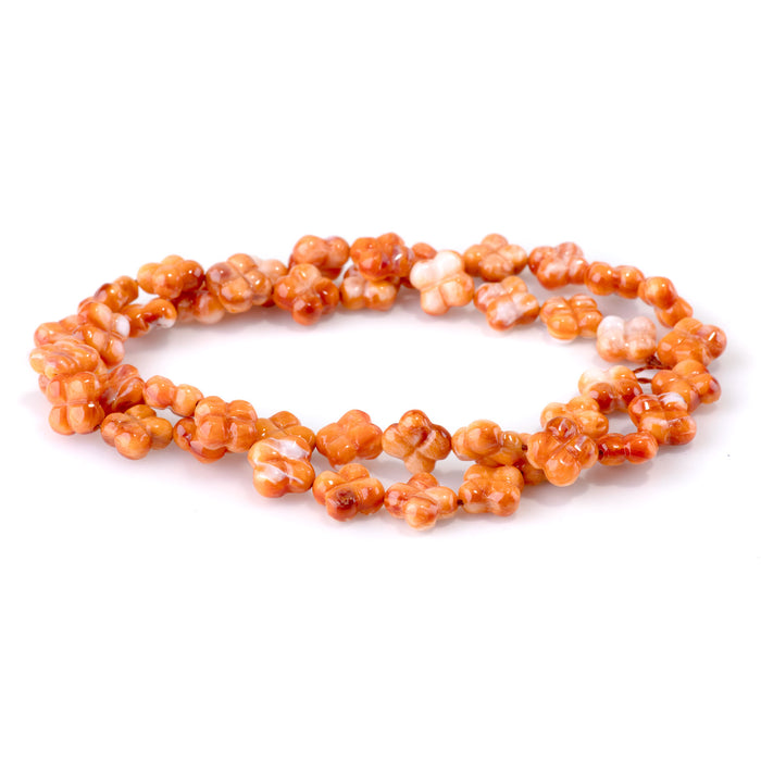Spiny Oyster 8-9mm Orange Clover Bead - 15-16 Inch