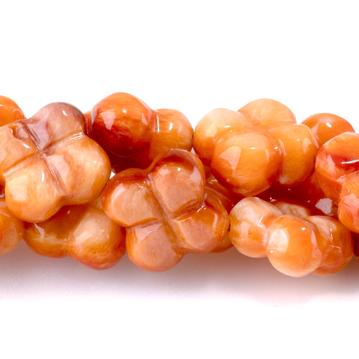 Spiny Oyster 8-9mm Orange Clover Bead - 15-16 Inch