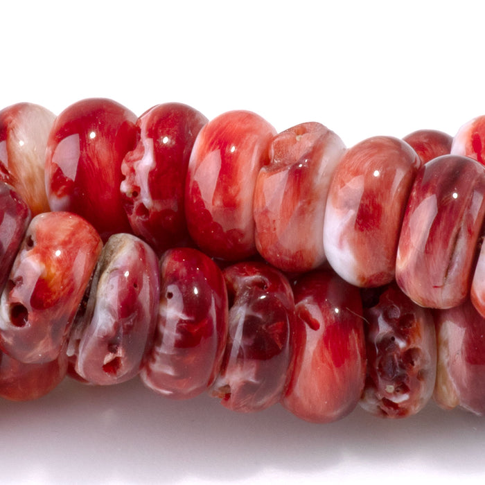 Spiny Oyster 8mm Red Rondelle Bead - 15-16 Inch