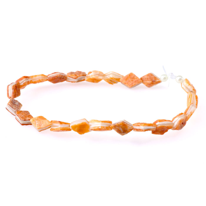 Spiny Oyster 8x10 Diamond Shape - 8 Inch