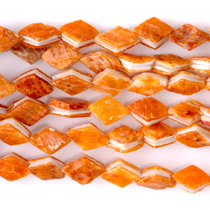 Spiny Oyster 8x10 Diamond Shape - 8 Inch