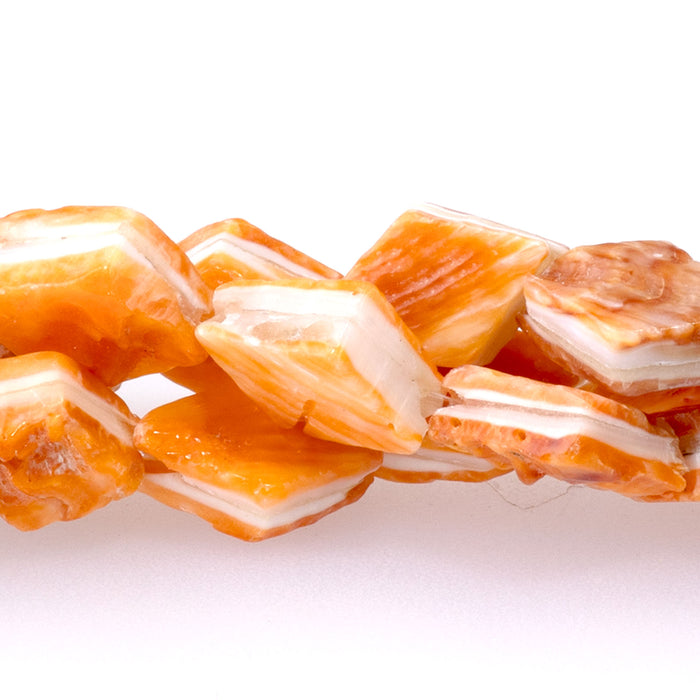 Spiny Oyster 8x10 Diamond Shape - 8 Inch