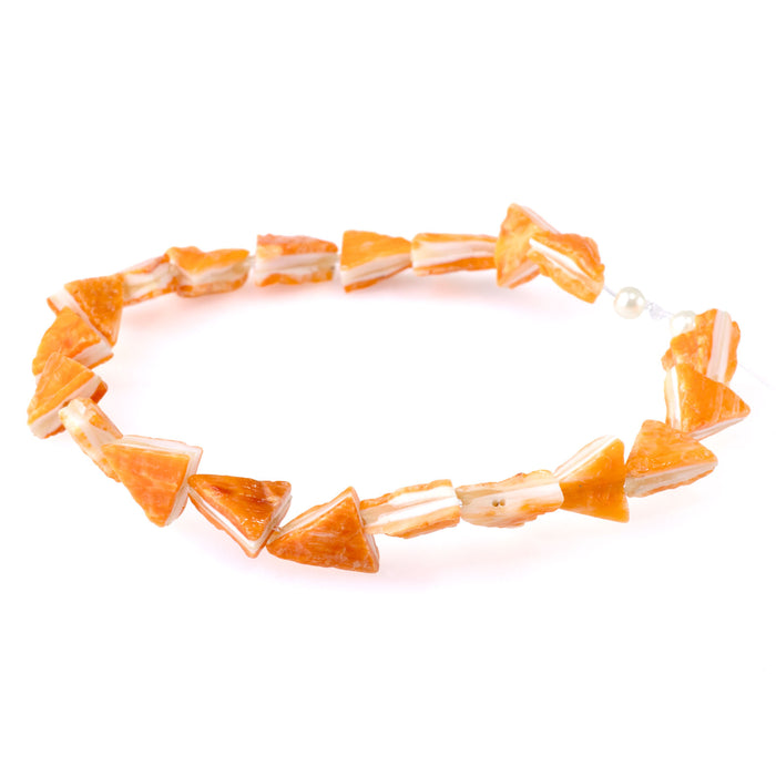 Spiny Oyster 8x11mm Triangle - 8 Inch