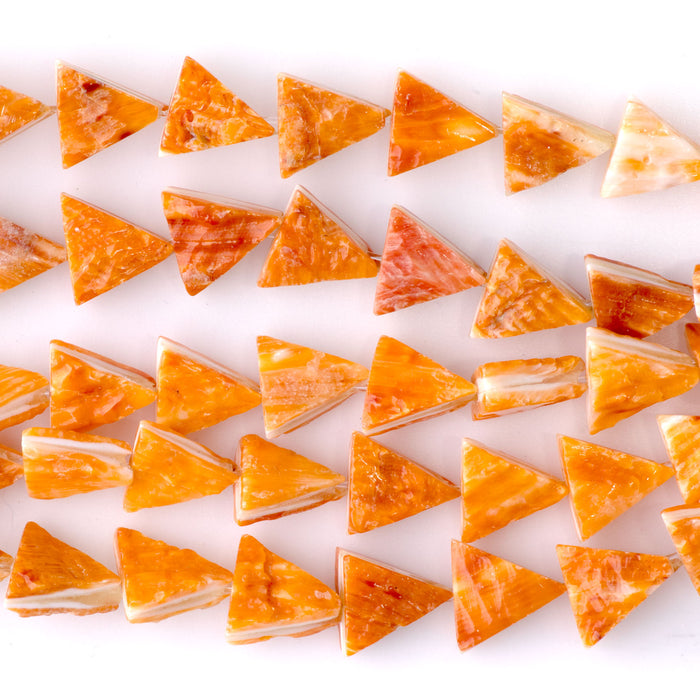 Spiny Oyster 8x11mm Triangle - 8 Inch