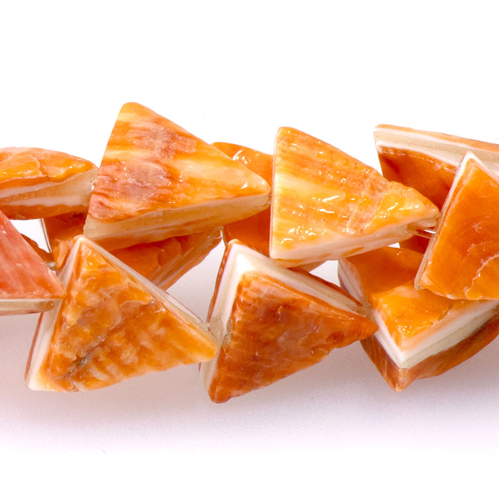 Spiny Oyster 8x11mm Triangle - 8 Inch