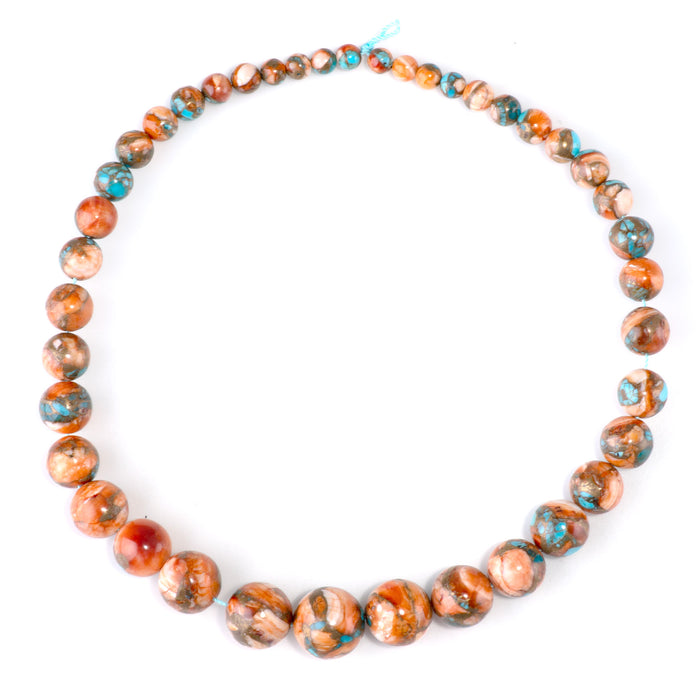 Spiny Oyster & Turquoise 6-16mm Graduated Round Bead - 15-16 Inch