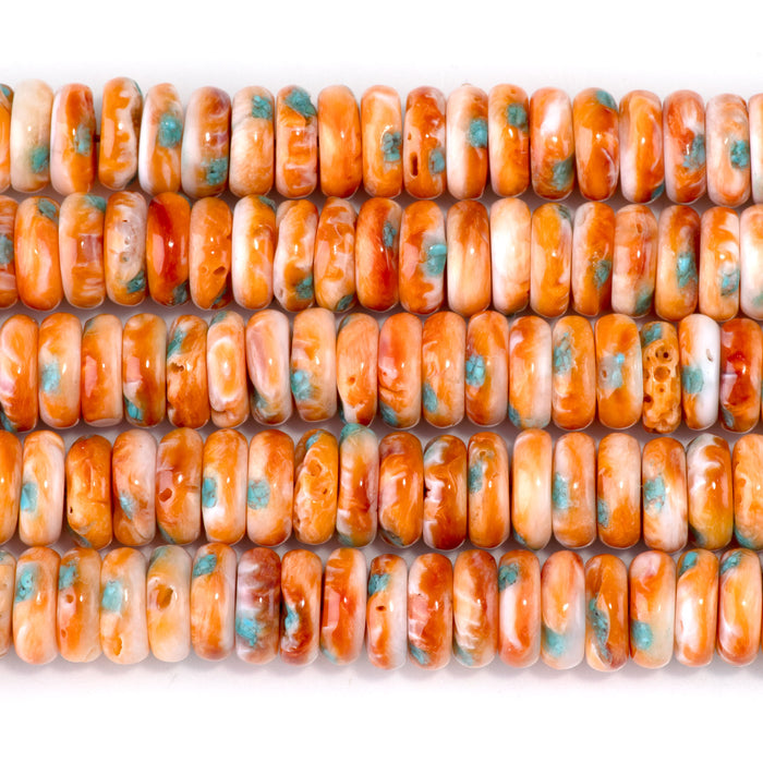 Spiny Oyster & Turquoise 10mm Rondelle Bead - 15-16 Inch