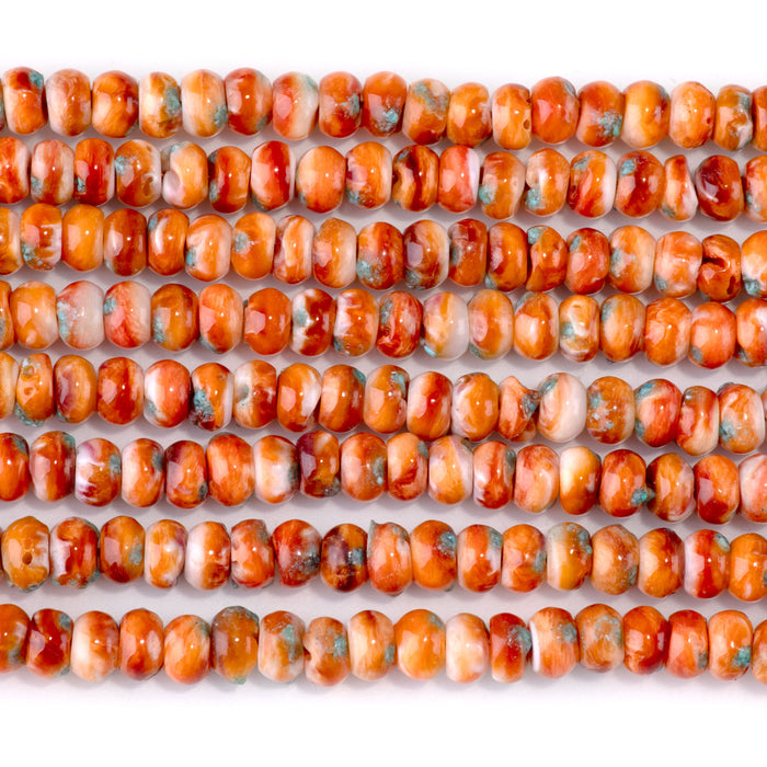 Spiny Oyster & Turquoise 6mm Orange Rondelle Bead - 15-16 Inch