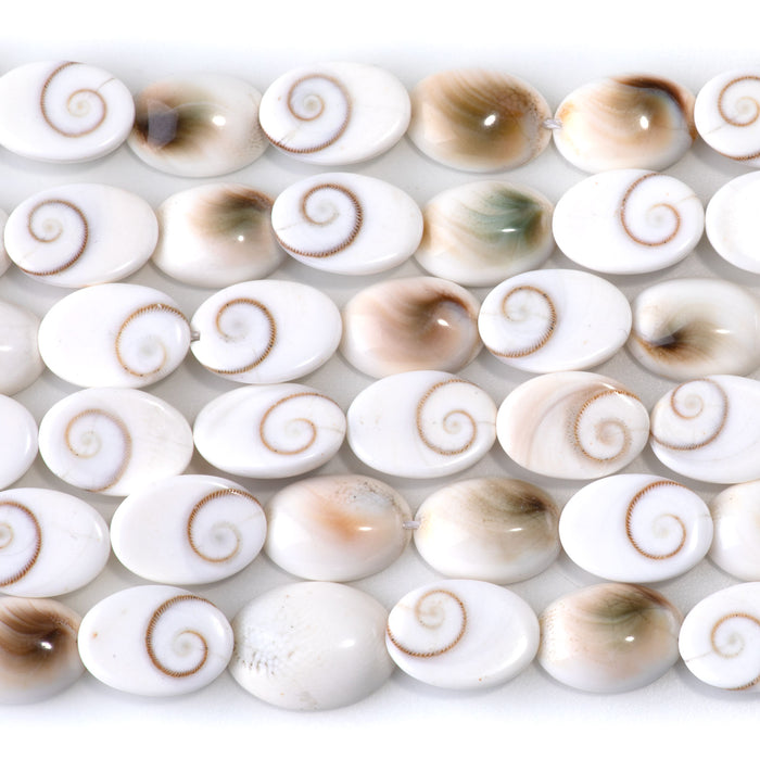 Shiva Eye Shell 10x14mm Oval Bead - 15-16 Inch