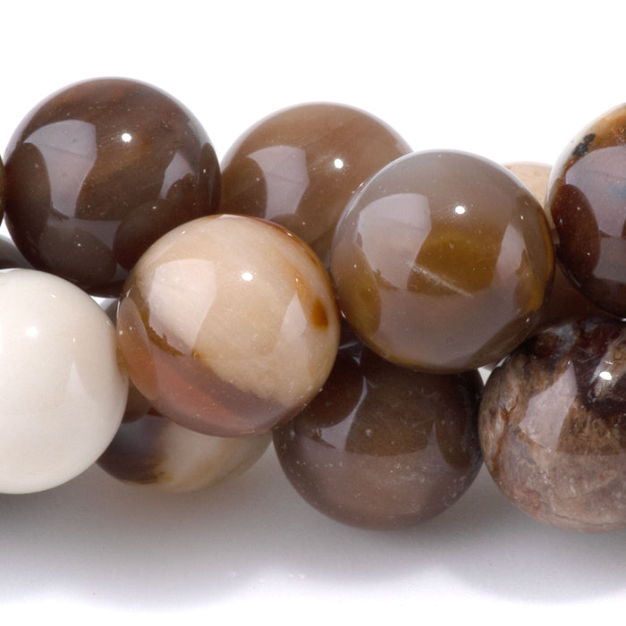 Petrified Wood Opalite 10mm Round - 15-16 Inch