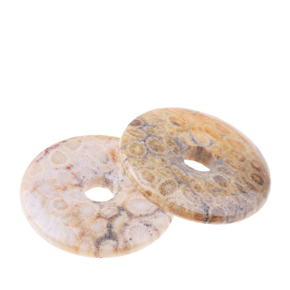 Fossil Gemstone Beads