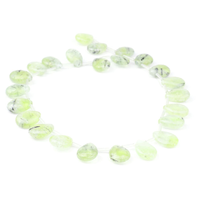 Prehnite 18x13mm Drop - 15-16 Inch