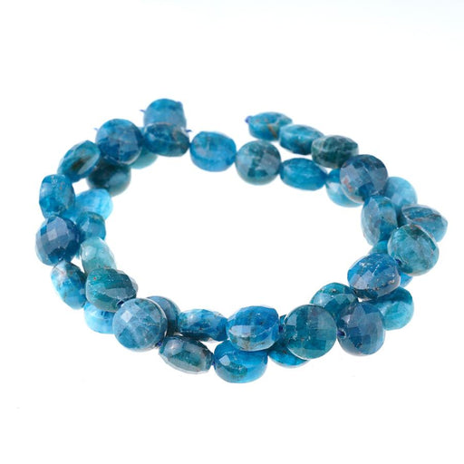 Blue Apatite Diamond Cut, Faceted 10mm Coin - 15-16 Inch