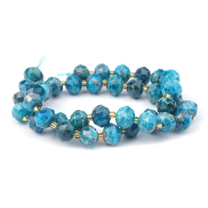 Blue Apatite 8x10mm Tri Cut Faceted Rondelle - 15-16 Inch