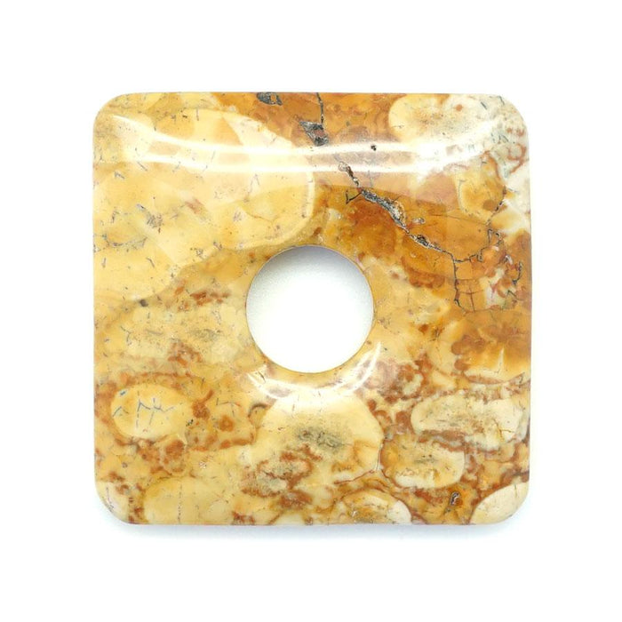 Birds Eye Rhyolite  50mm Square Donut - Pendant