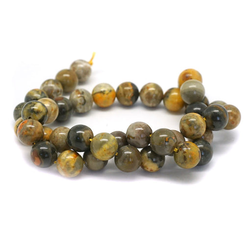 10mm Bumble Bee Jasper   Round - 15-16 Inch