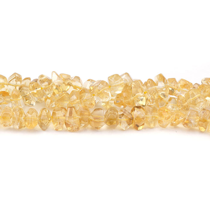 Citrine 8X10-12X14mm Freeform Hand Cut - 15-16 inch