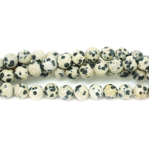 Dalmation Jasper 6mm Round 15-16"