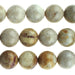 Fossil Coral 10mm Round 8-Inch